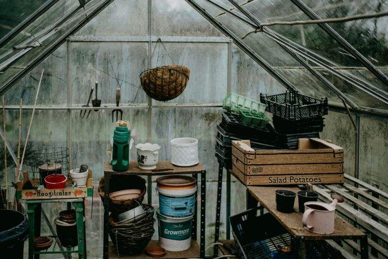 創意花園：從概念到現實